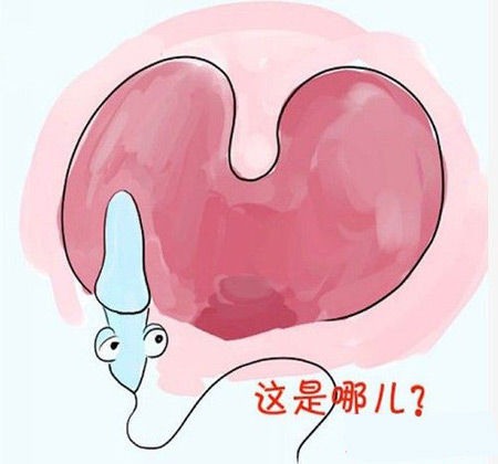 ����13�����ڱ����١���(�ں�������)