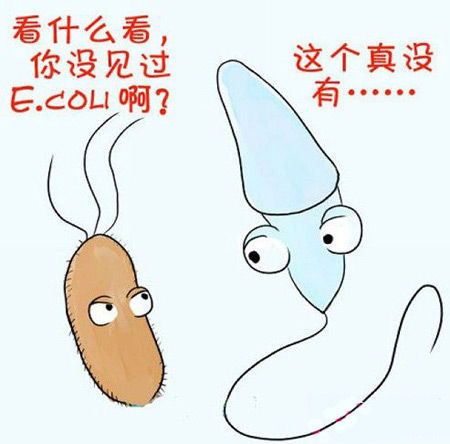 ����14�����ڴ󳦸˾�......