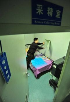 �ھ辫�ҵ�����