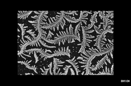 ����ճҺ�Ŵ�ͼ