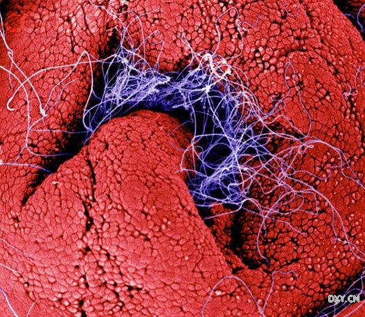 ��������ӿ�����ѹ�