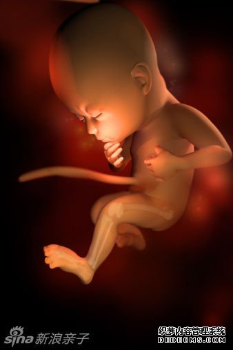 ̥������Week 29 - ������Ӳ