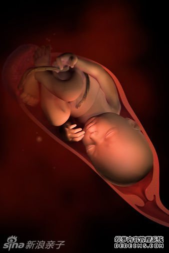 ̥������Week 39 - ̥���������뿪ĸ��׼��
