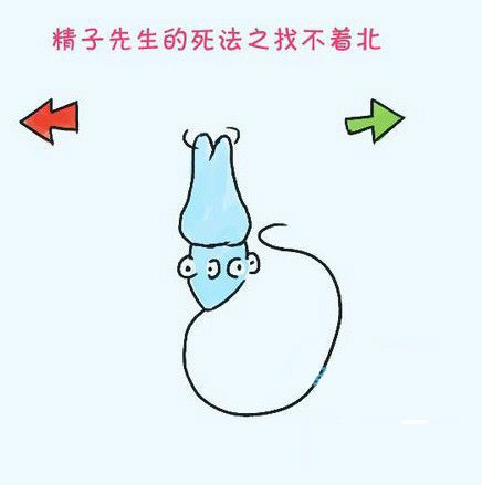 �Ҳ��ű�����