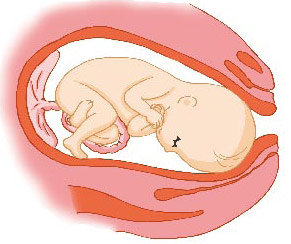 宝宝的状态 宝宝的状态