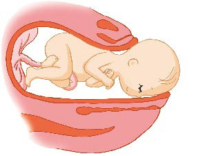 一用力就看到了胎儿的头 一用力就看到了胎儿的头