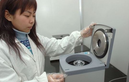 ��������Ѫ����DNA����