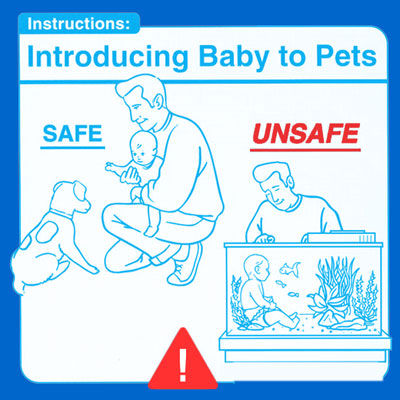 ����ñ��������Ӵ�