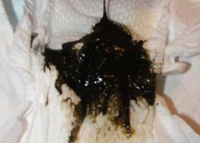 (�������������)