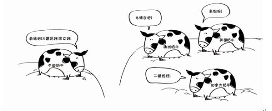 �й���ţ�������ţ����Ե��ϵ