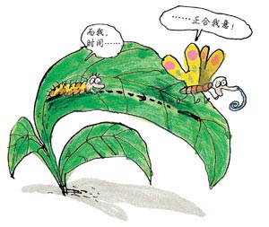 利用时间与浪费时间