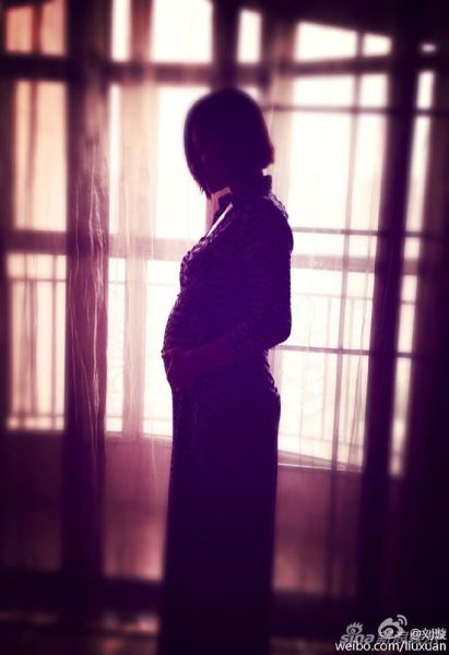 �����ɹ����