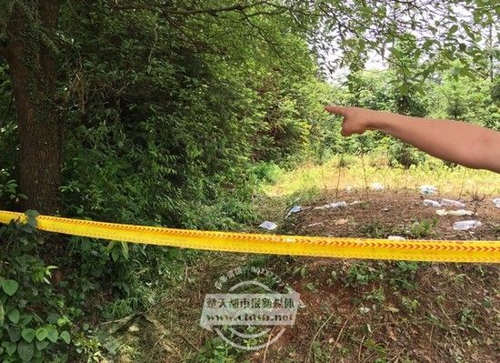 �����ֳ�